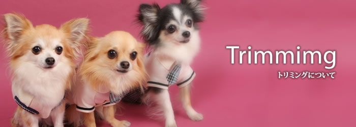 Trimming トリミングについて